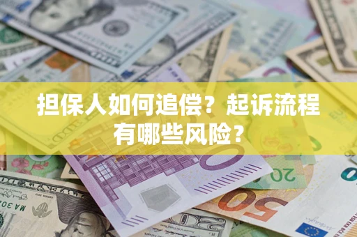 北京担保人如何追偿？起诉流程有哪些风险？