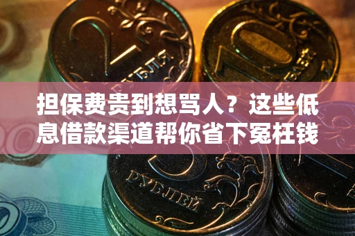 北京担保费贵到想骂人？这些低息借款渠道帮你省下冤枉钱