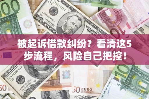 北京被起诉借款纠纷？看清这5步流程，风险自己把控！